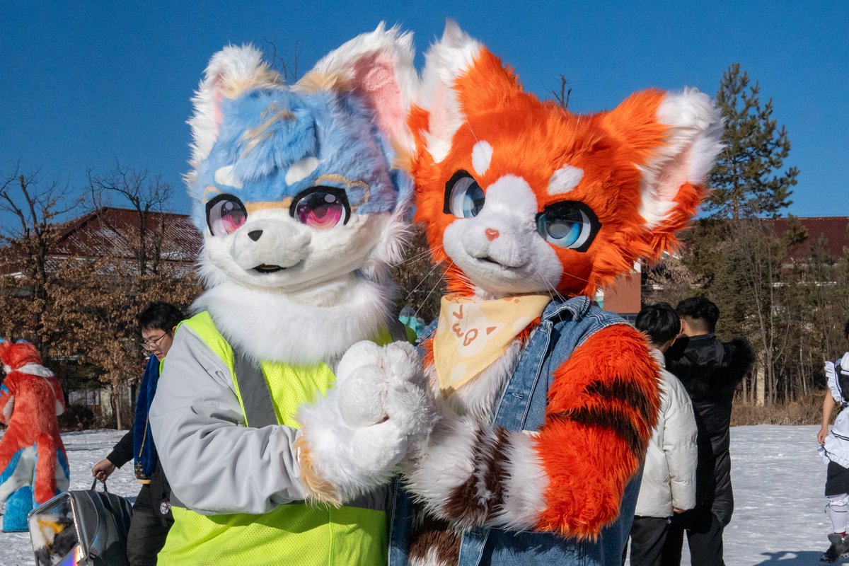 毛毛星期五！
今天是和瑞宝@Ruishou_Nyako 的合照！
很开心和瑞宝贴贴！
#FursuitFriday
