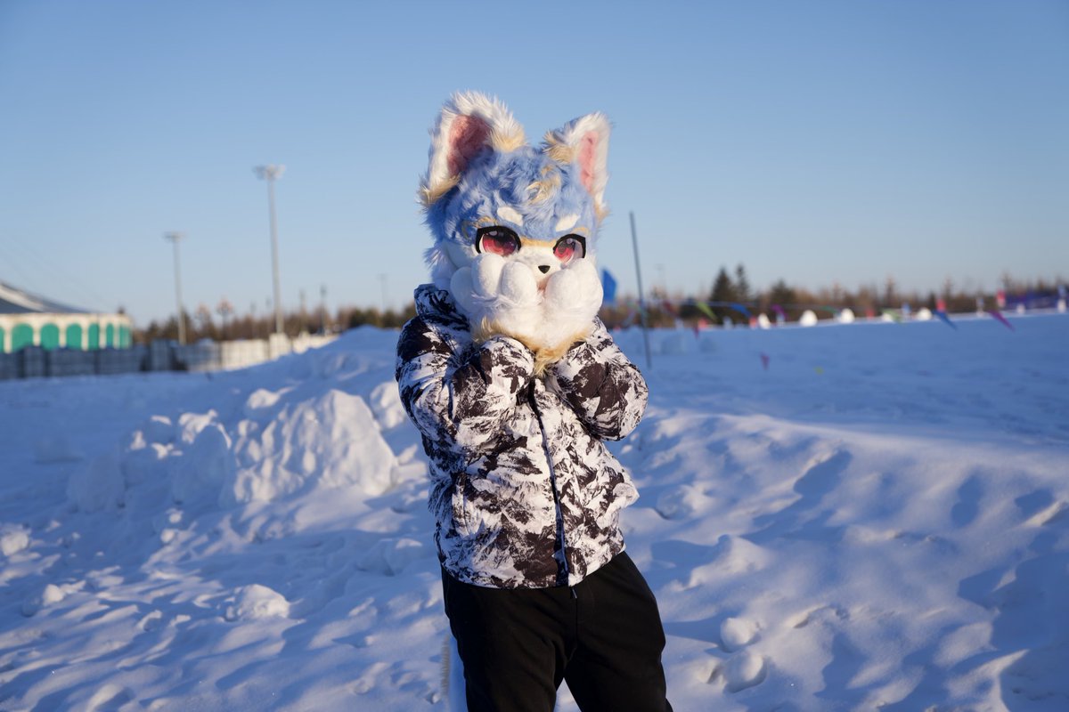 #FursuitFriday 
高级雪地光！
📷：煋岚