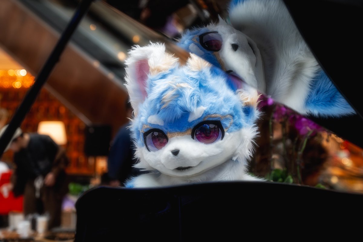 「别人都以为我是钢琴家，其实我是瞎几把乱弹」
📷：@Mr_Qingning 
#furry #FursuitFriday #Fursuit #furryoc