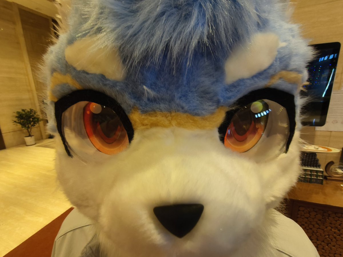 我会永远视奸你...👁️👁️👁️
📷：蛋挞
#FursuitsFriday #FursuitsFriday #Fursuit