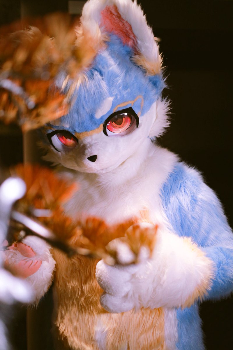 #FursuitFriday 
「无需比较，我独我」
🥩：@妄欢 
📷：@苏年
