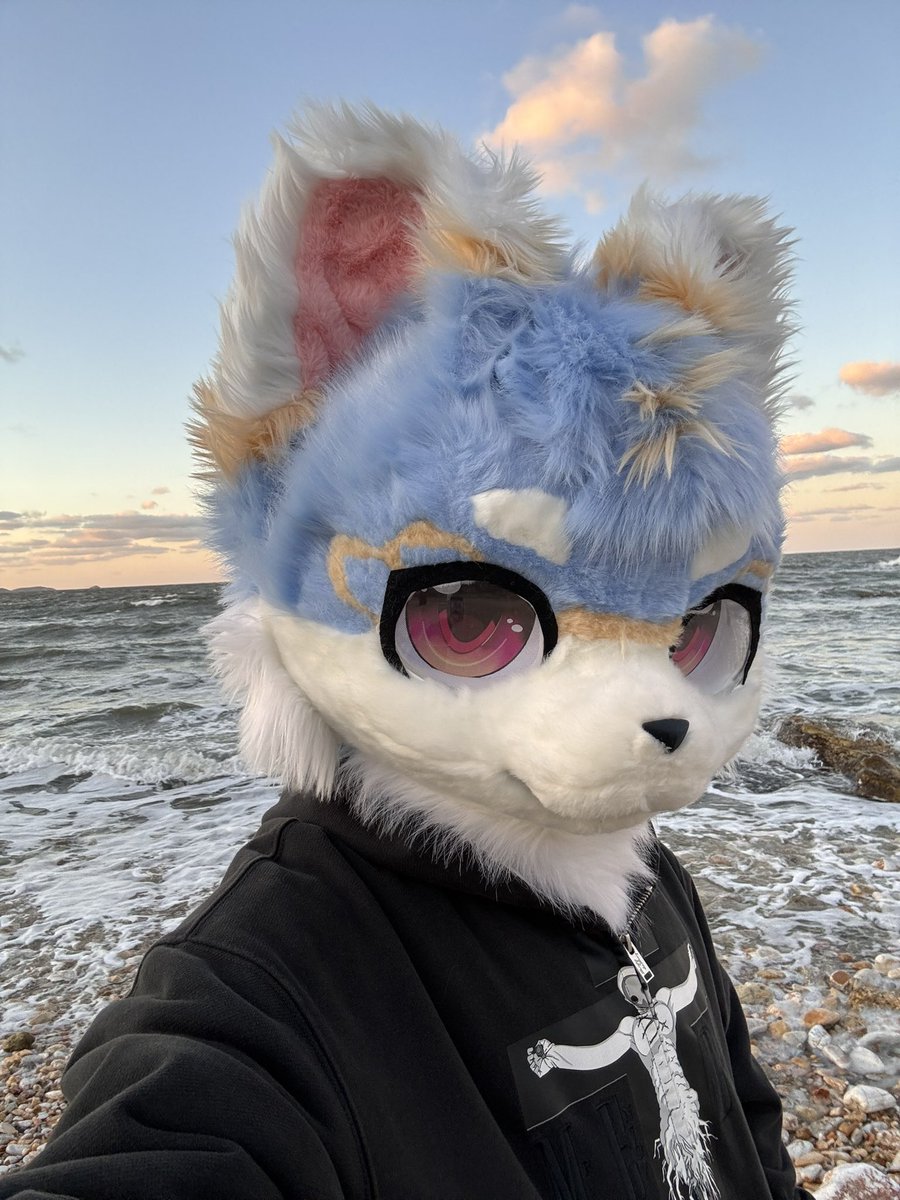 #FursuitFriday
来跟我一起看海吧～