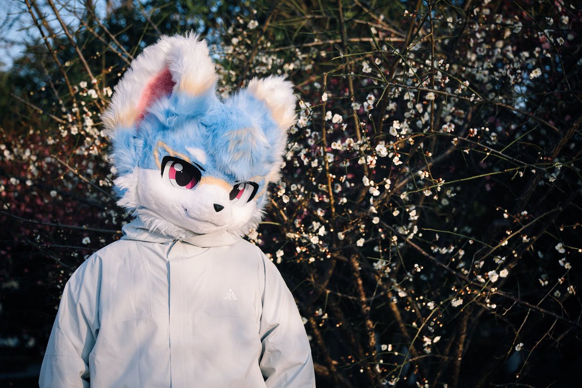 命运的洪流不可阻挡，我的回答是向前。
📷：@syZPI70Mxw10059 
#FursuitsFriday