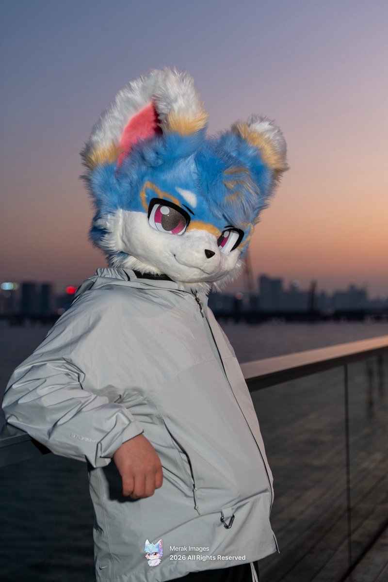 #FursuitFriday
「经过了漫长的等候
梦想是梦想 我还是一个我」
📷：@syZPI70Mxw10059