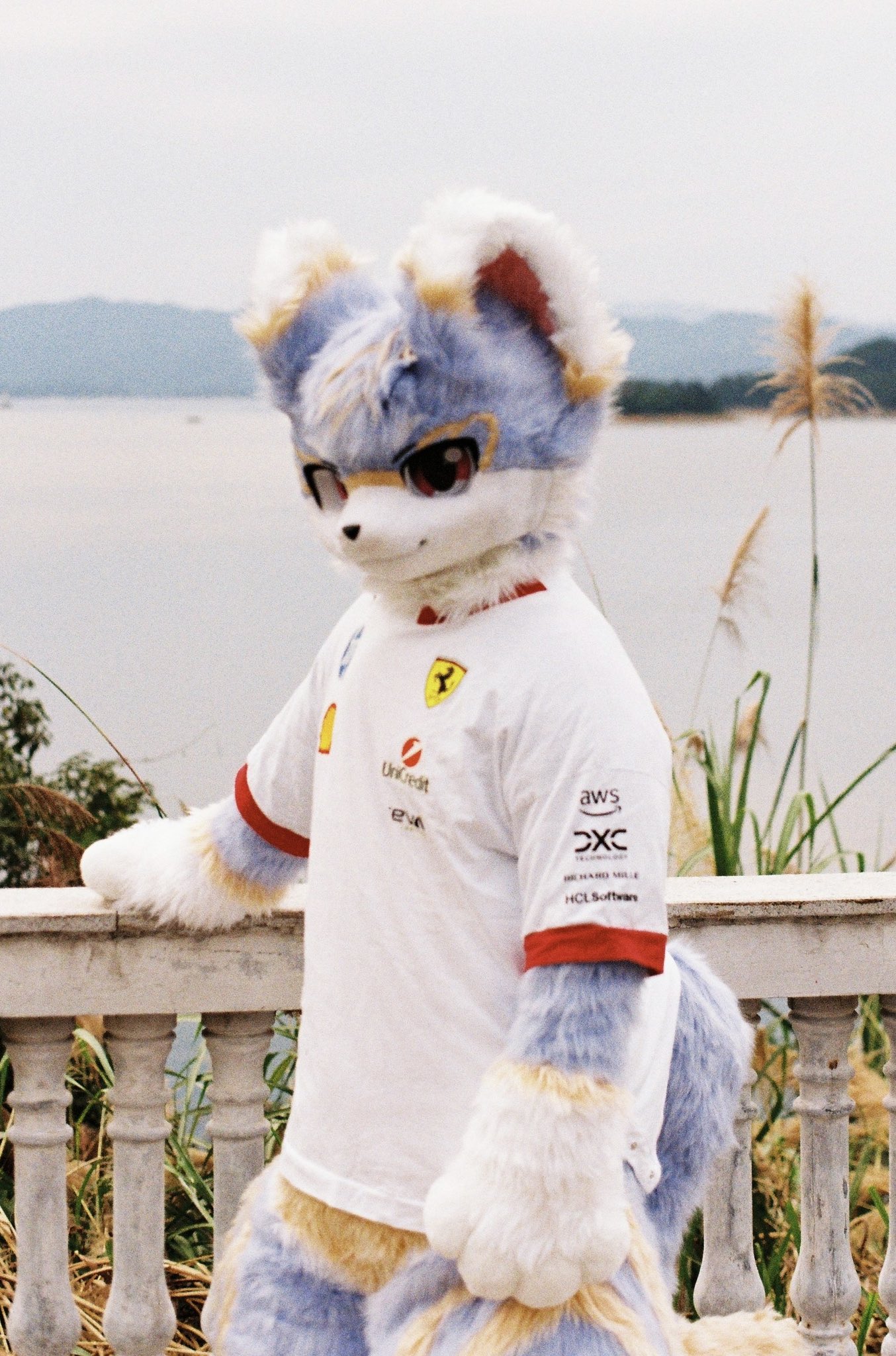 胶片是对的
📷：@LudusNot
#FursuitFriday